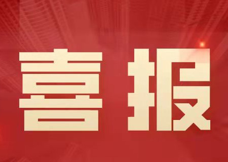 金沙集团3354cc系统通过CMMI5最高等级认证，研发能力获国际认可！