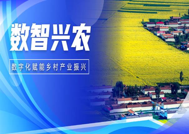 数智兴农 金沙集团3354cc系统打造县域农业产业发展新动能